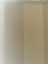 Outlet- Abażur stożek w kremowo- oliwkowe pasy 30x19x17cm